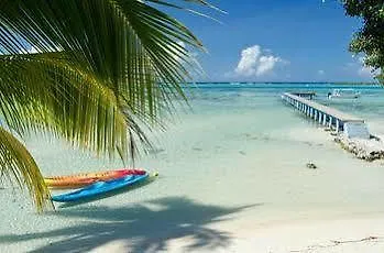 Hotel Les Tipaniers Moorea